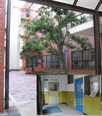 [Photo of the place]